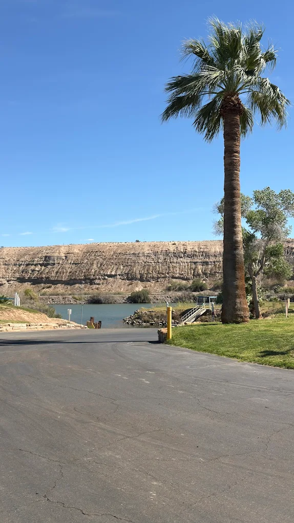 Boat ramp with palm trees and river at McIntyre Resort